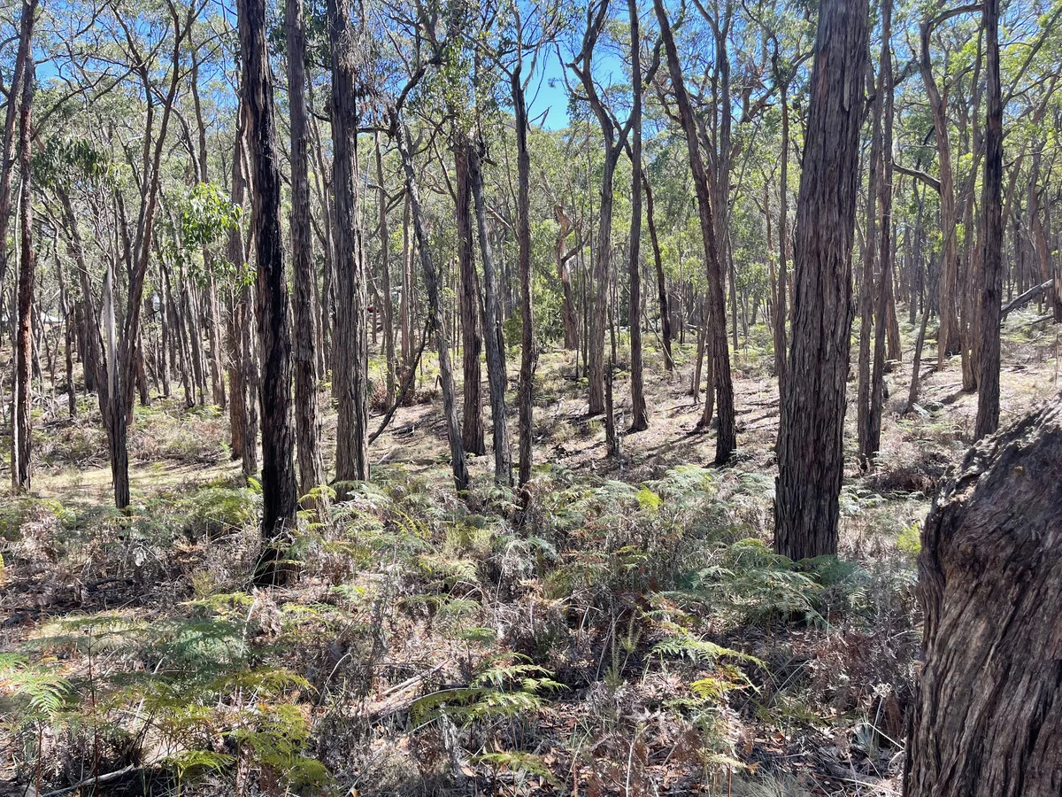 Additional image 8 of 3 Pittong-Snake Valley Road, Snake Valley VIC 3351