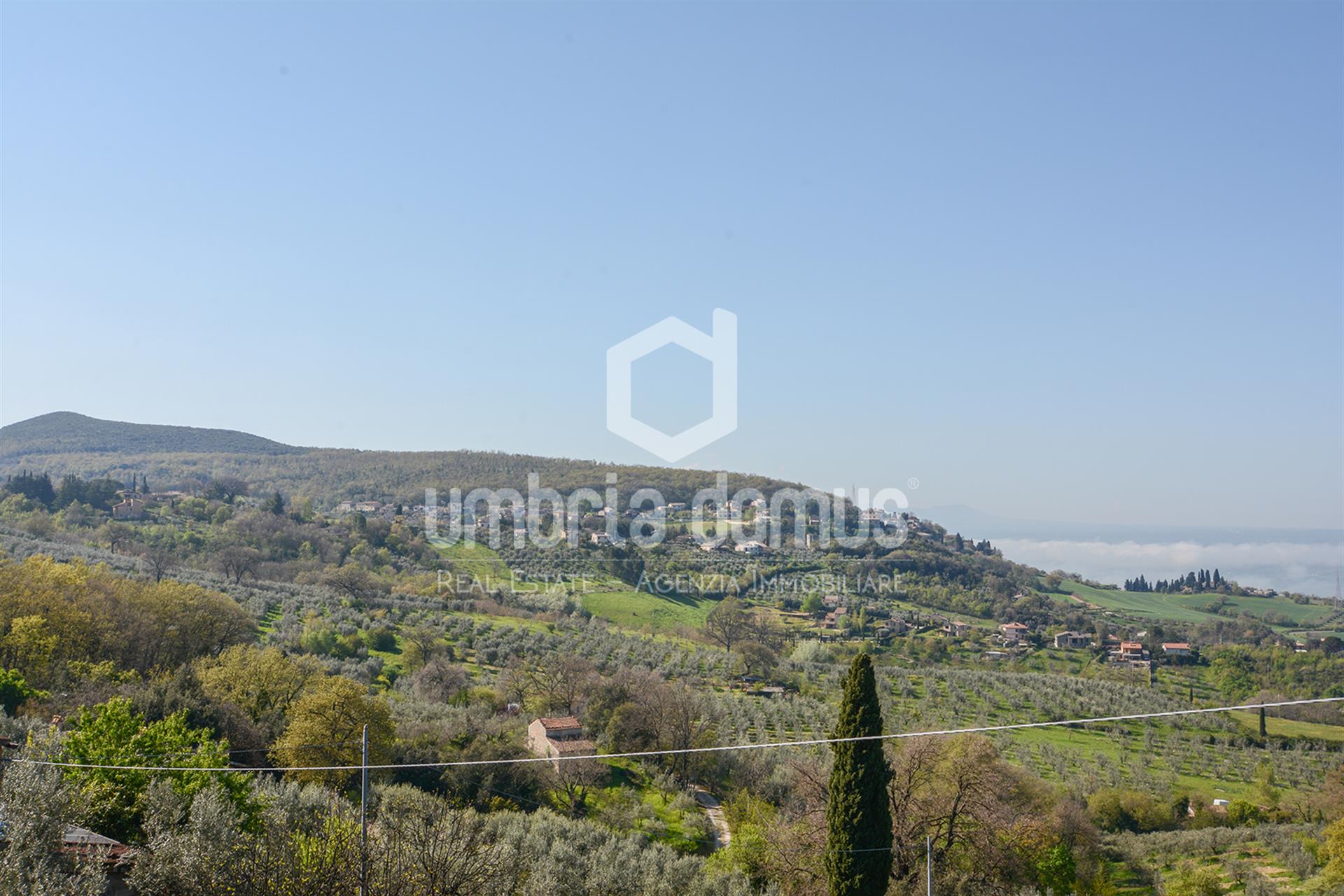 Additional image 15 of Montecchio (Provincia di Terni)