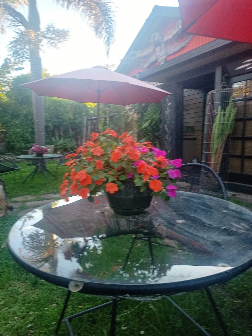 Additional image 24 of 44 Cullen Street, Nimbin NSW 2480