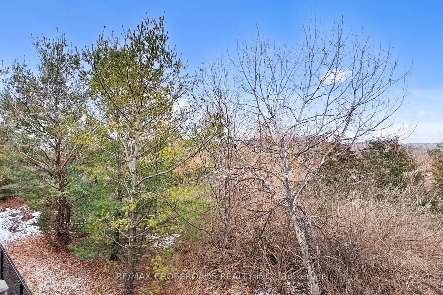 Additional image 12 of 6020 Derry Road 68