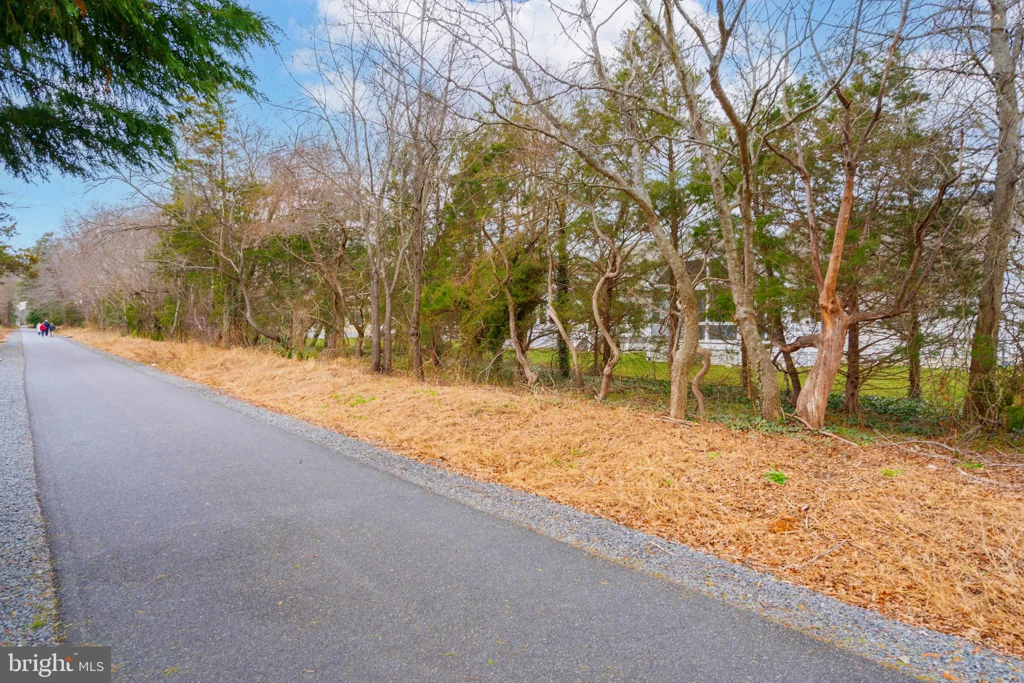 Additional image 65 of 31716 Grenache Court Unit 60, Lewes, DE 19958