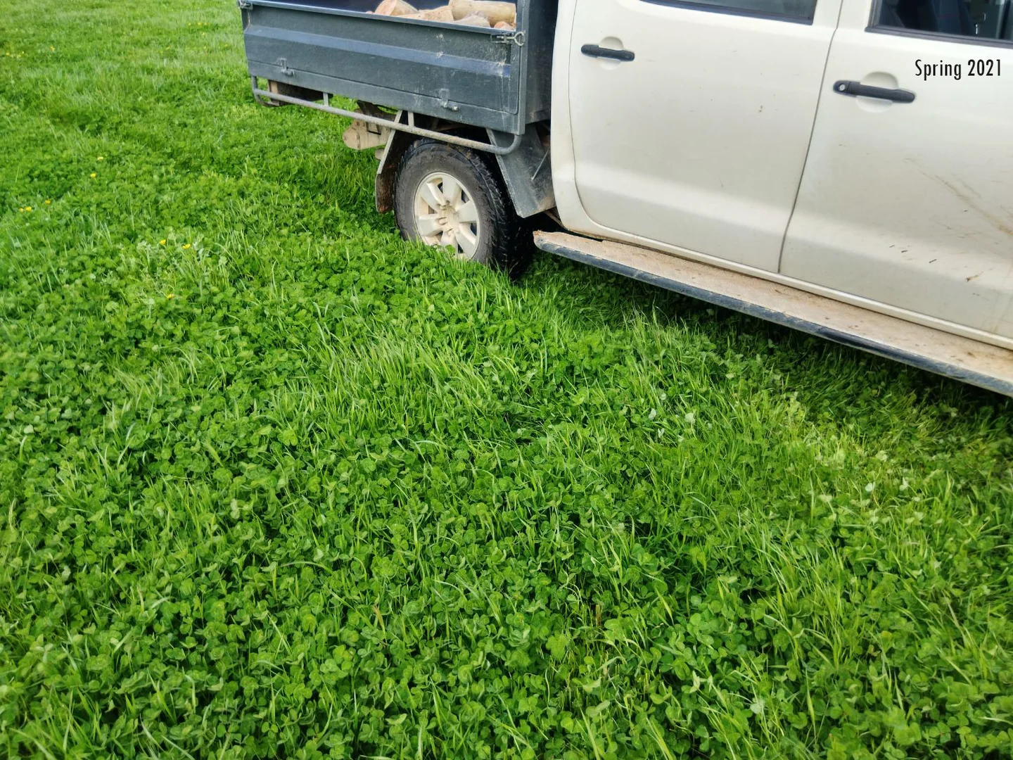 Additional image 38 of 678 Jones Road, Mundulla SA 5270