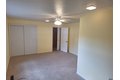 Additional image 19 of 101 E Lincoln St, Sidell, IL, 61876