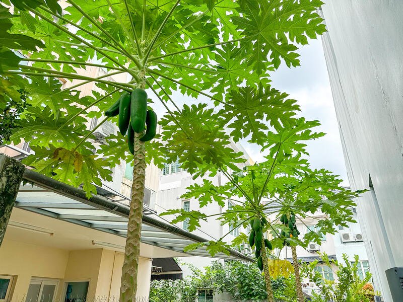 Additional image 18 of Gerald Crescent