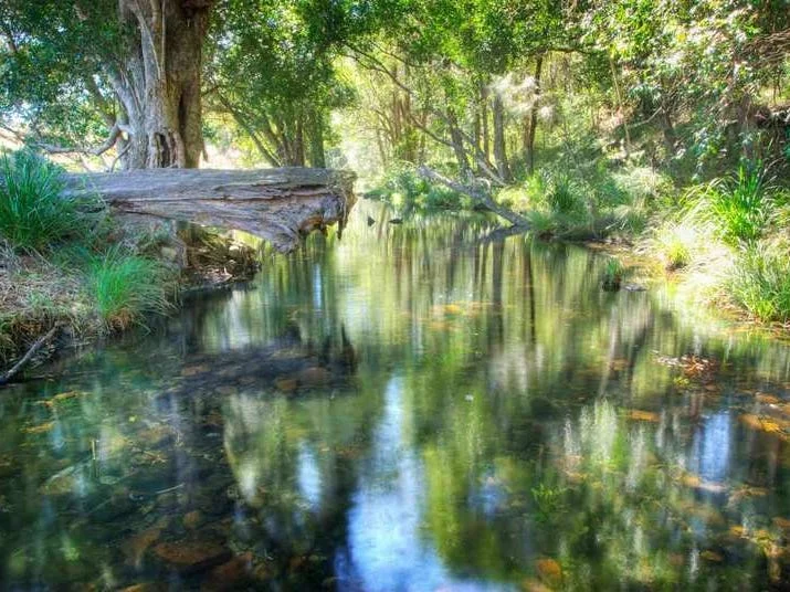 Additional image 13 of Samford Valley QLD 4520