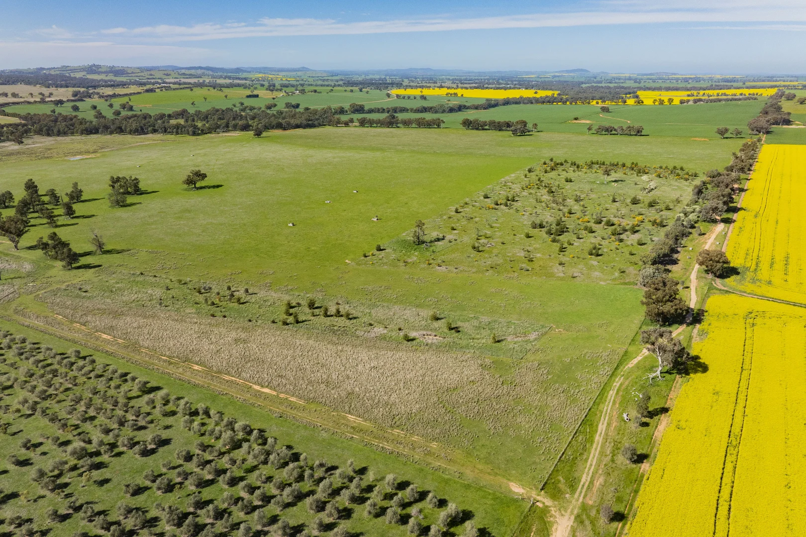 Additional image 38 of 277 Cloughs Road, Yarragundry NSW 2650