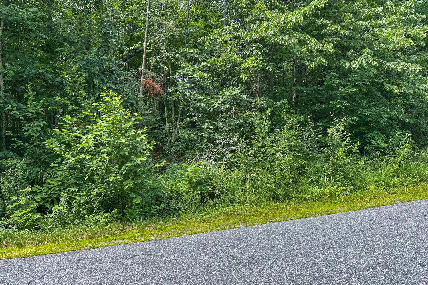 Additional image 5 of (Part 2) 25 Long Lake Estates Road