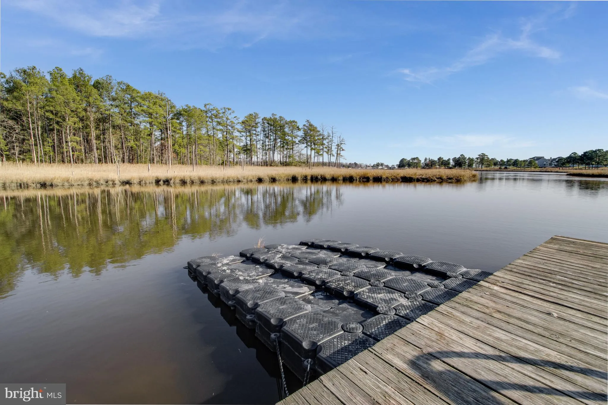 Additional image 210 of 22106 S Preservation Drive, Millsboro, DE 19966