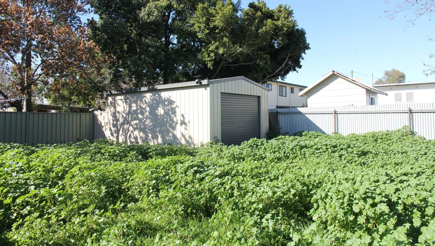 Additional image 14 of 8 Mitchell Street, Moree NSW 2400