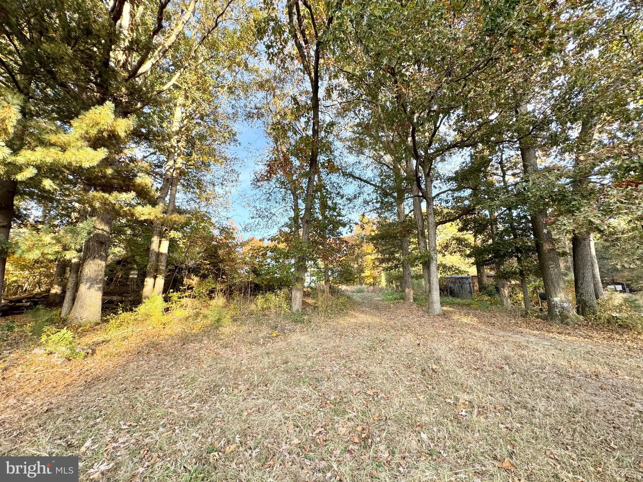 Additional image 50 of 31568 Mount Pleasant Road, Laurel, DE 19956