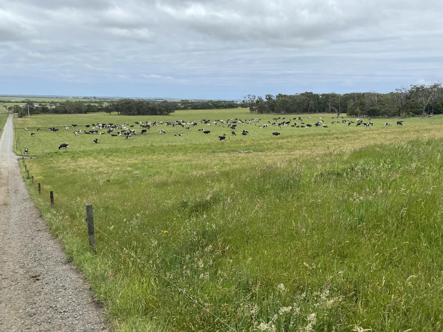 Additional image 6 of 426 West Creek Rd, West Creek VIC 3992