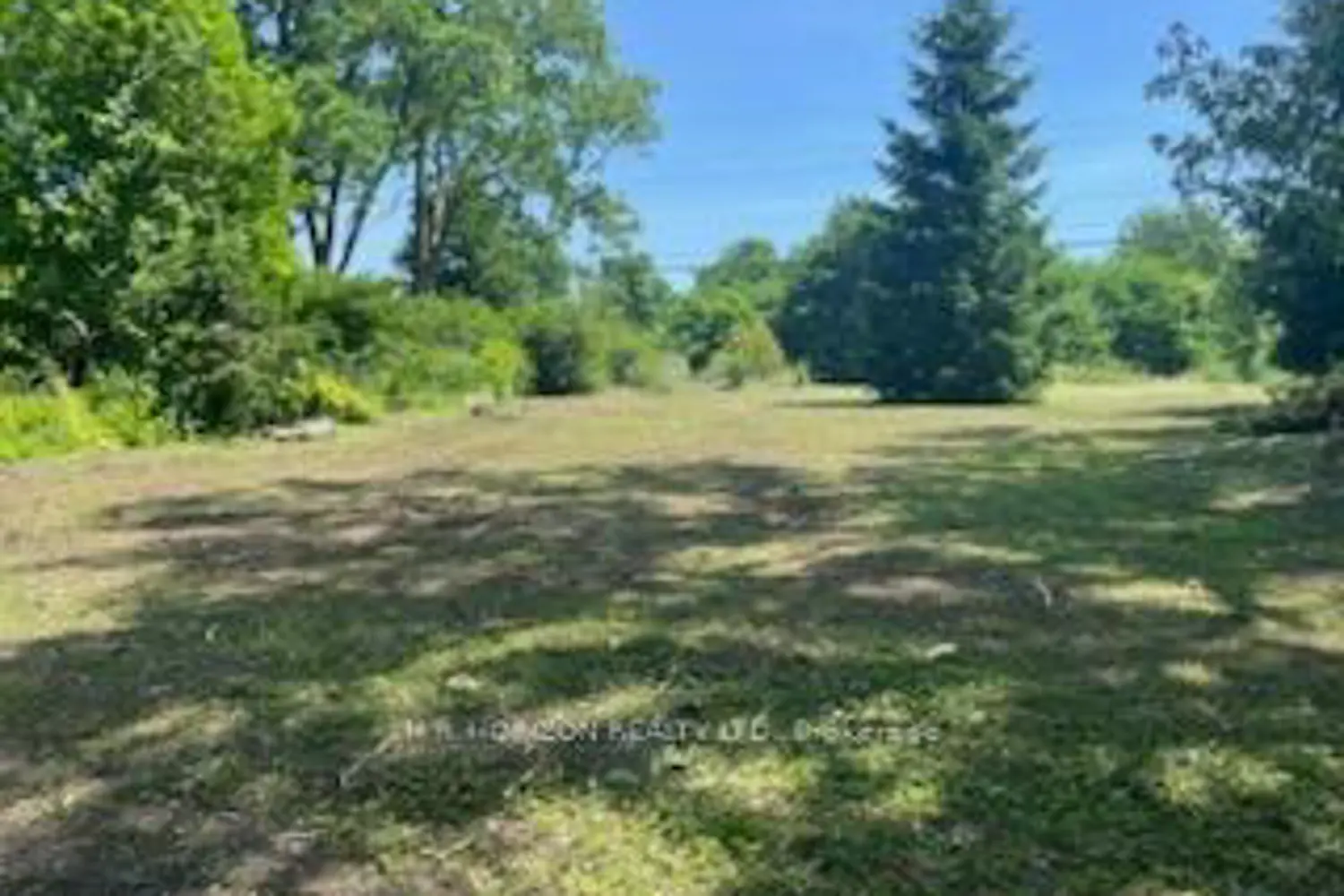 Additional image 5 of 1258 County 3 Road