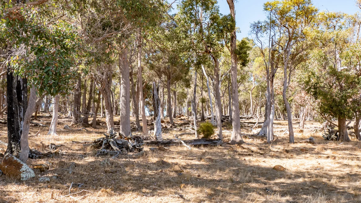 Additional image 18 of 1 Hopkins Road, Chapman Hill WA 6280