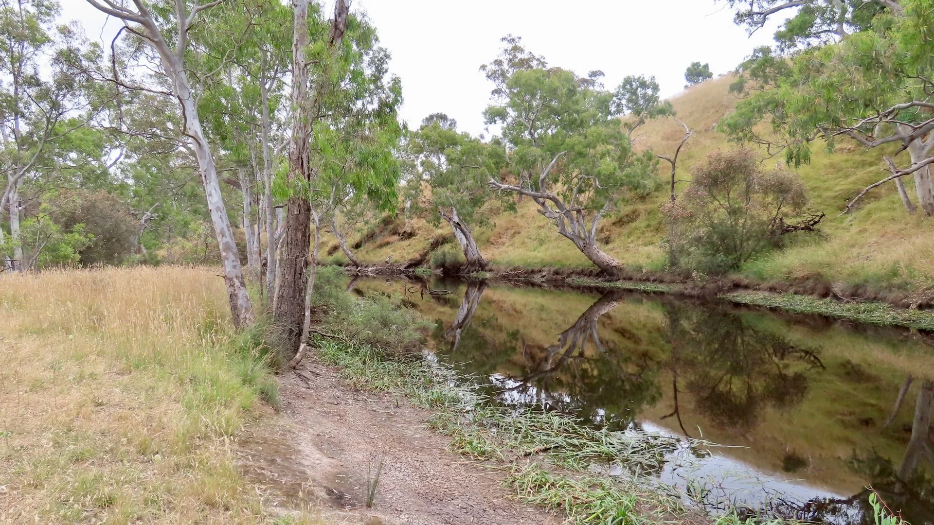 596 Mostyn Lane, Balmoral VIC 3407
