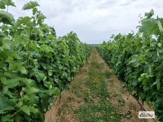 Additional image 5 of 1A Flat Rock Road, Beechworth VIC 3747