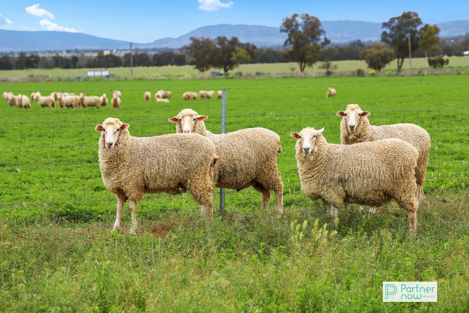 Additional image 23 of 1234 Manilla Road, Tamworth NSW 2340