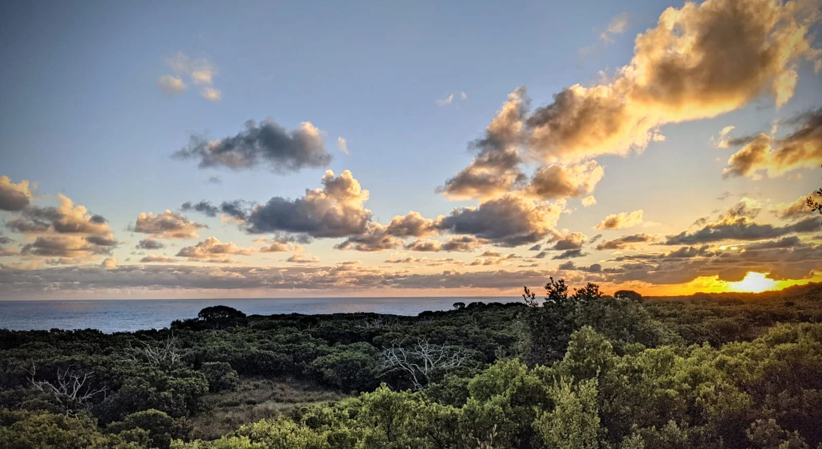 Additional image 14 of Level 41, 41A, 4/1010 Lighthouse Road, Cape Otway VIC 3233