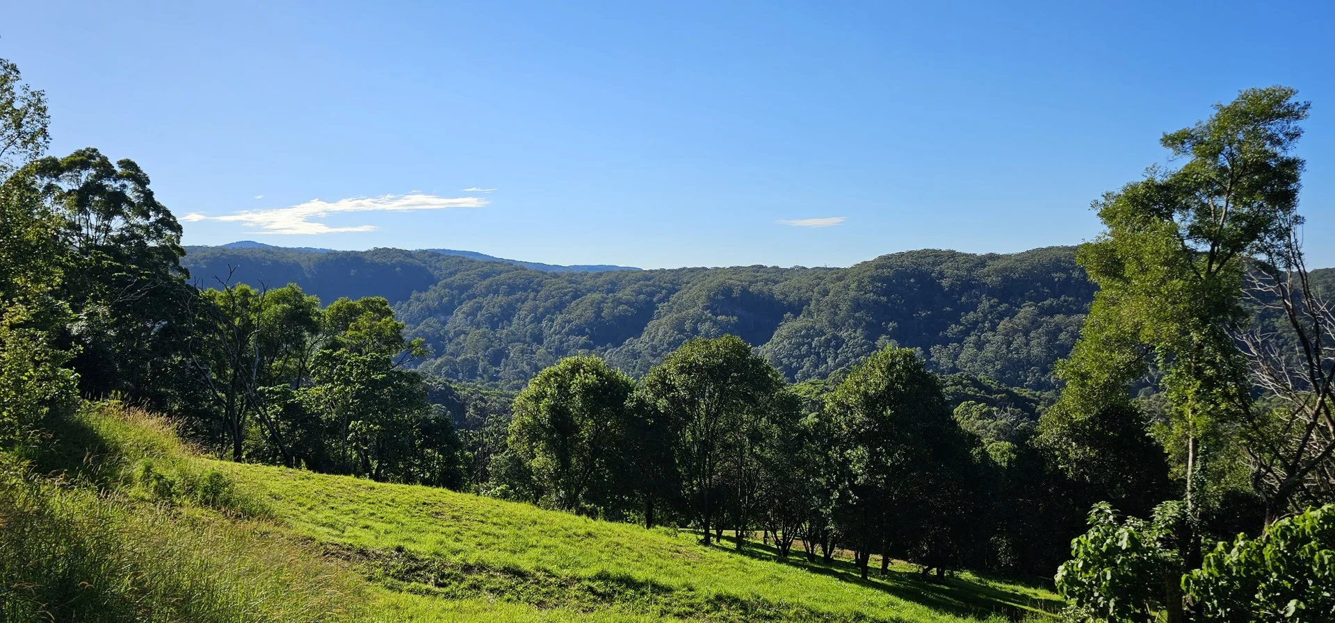 Additional image 2 of 1005 Tuntable Creek Road, Tuntable Creek NSW 2480