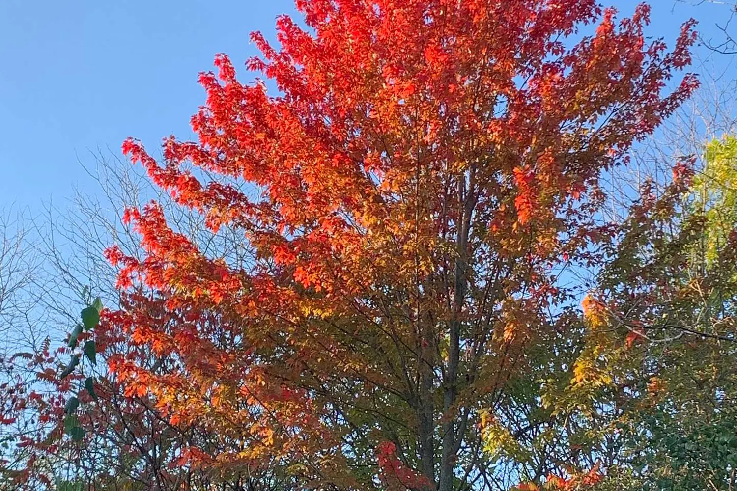 Additional image 7 of 2286 Yorktown Circle