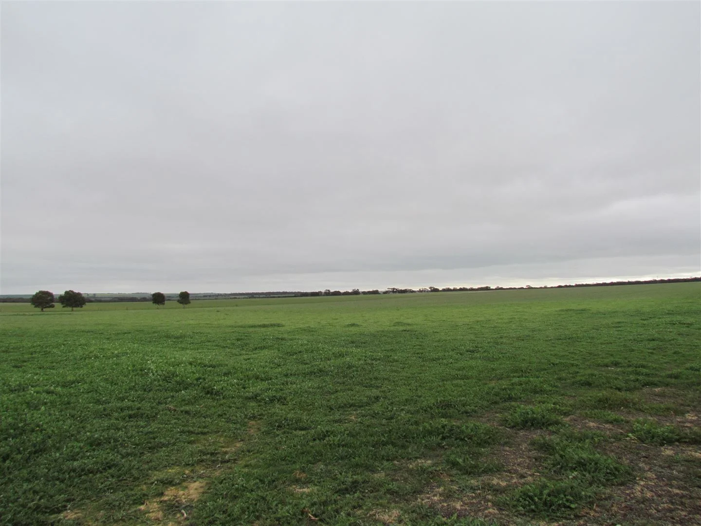 Additional image 18 of 2299 Buntine - Marchagee Road, Marchagee WA 6515