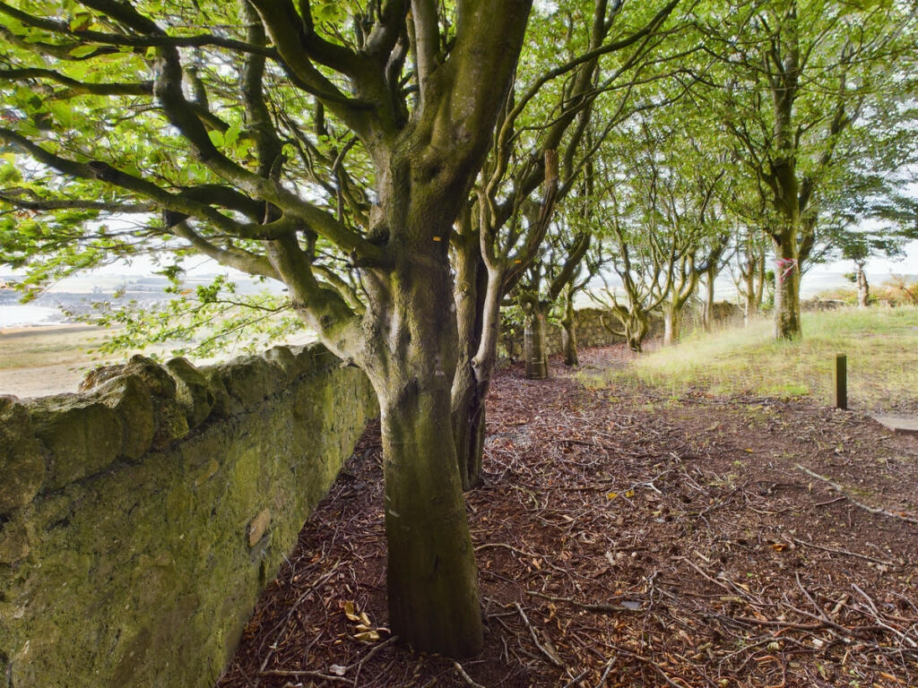 Additional image 7 of Stonehaven, Aberdeenshire, AB39