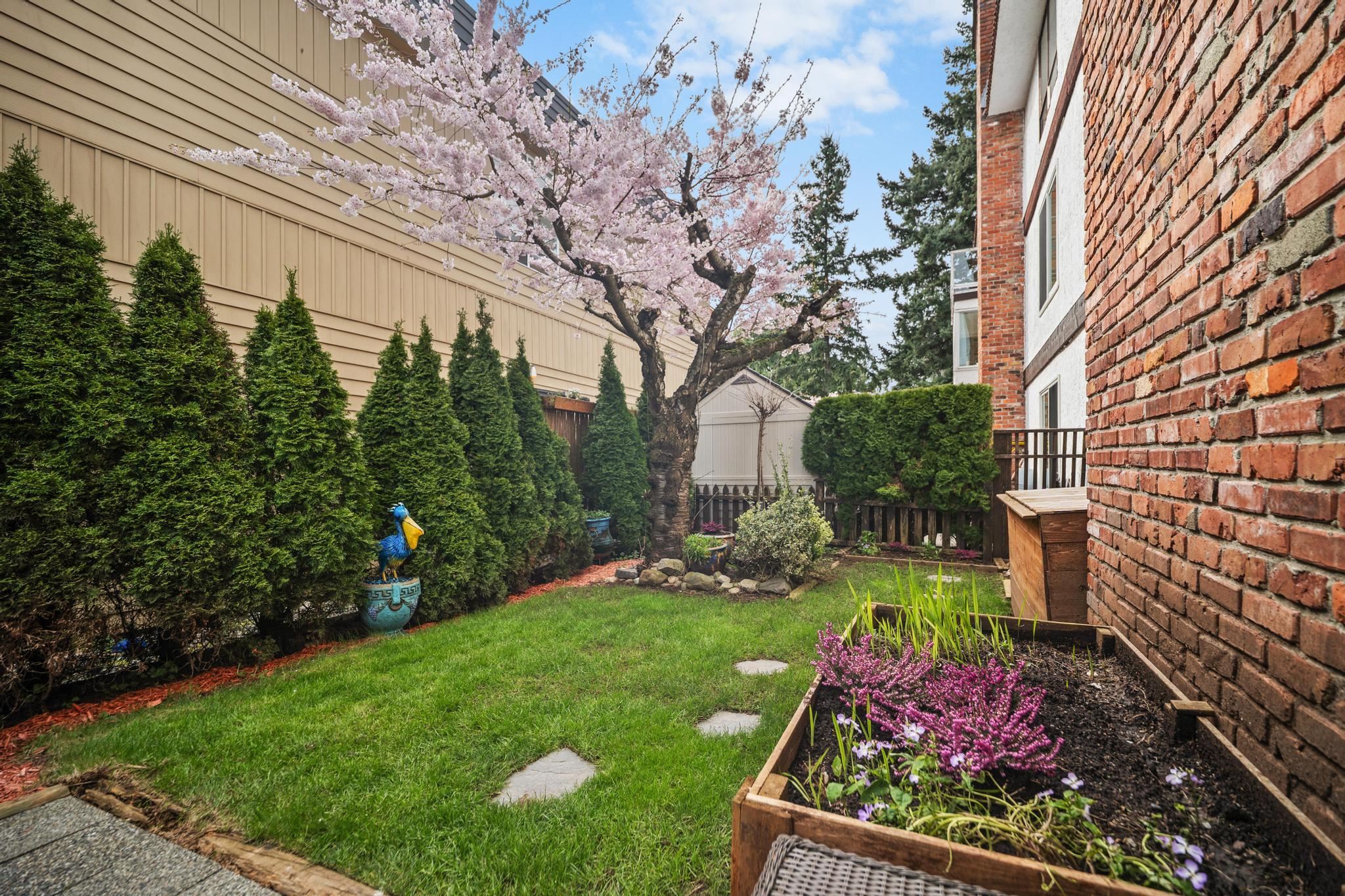 Additional image 4 of 101-1331 Foster Street, Surrey, BC, V4B 3X5