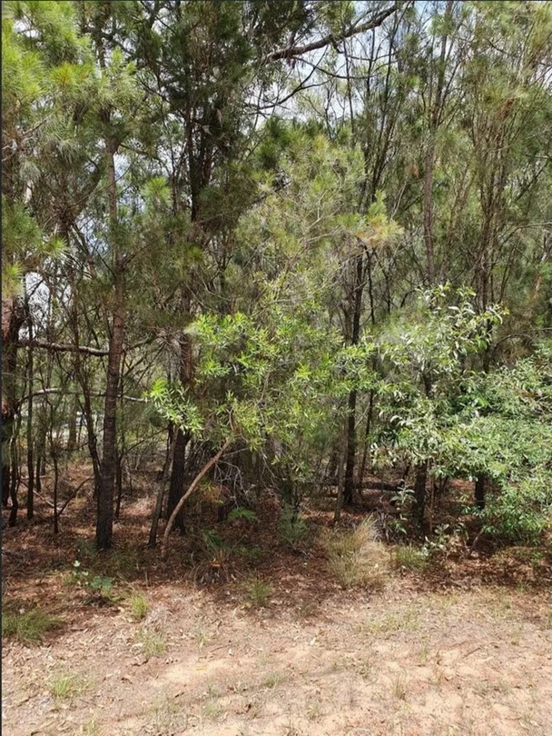 38 Tahlin Drive, Russell Island QLD 4184