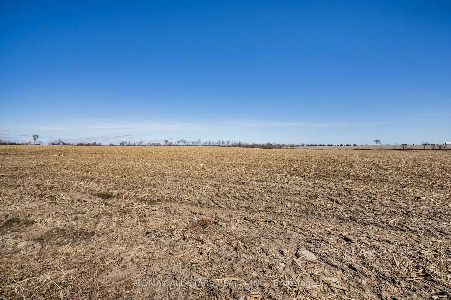 Additional image 10 of 201 Royal Oak Road