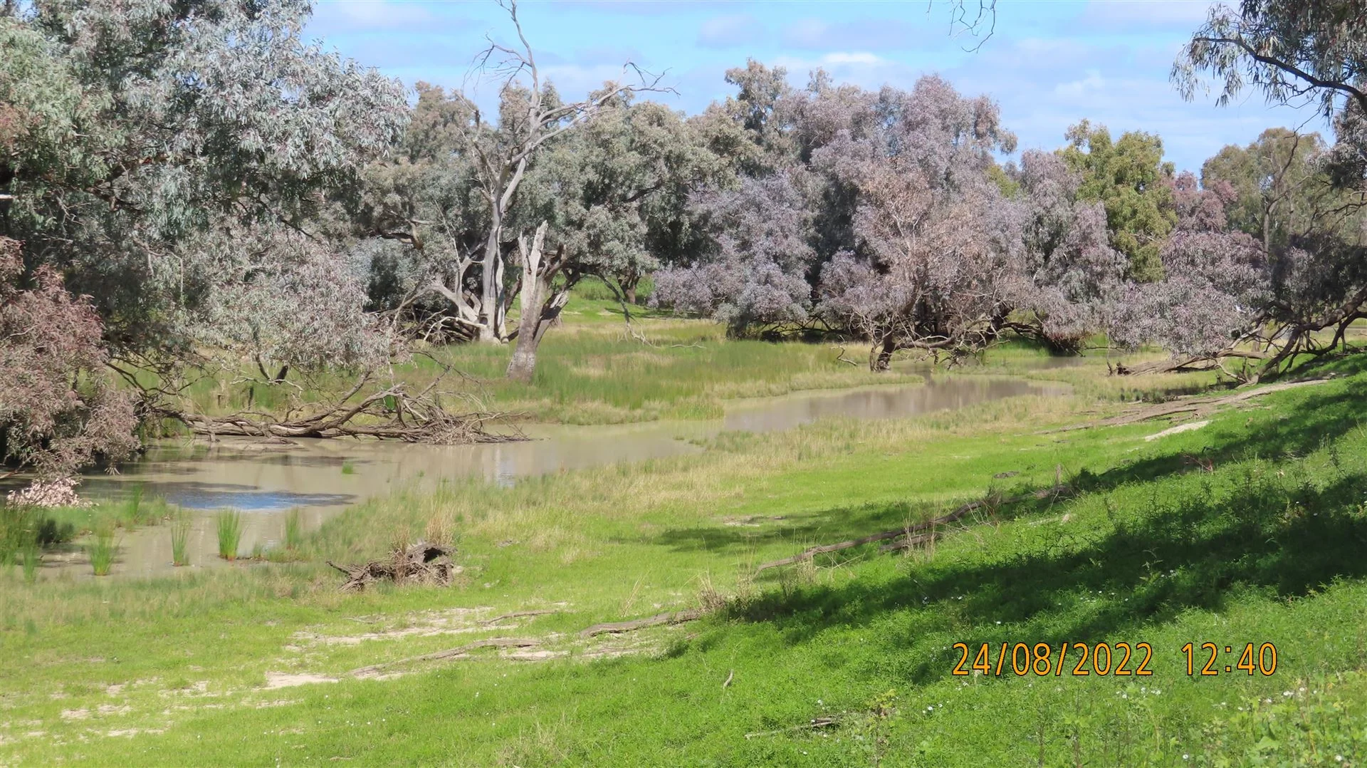 Additional image 9 of * East Weelong, Louth NSW 2840