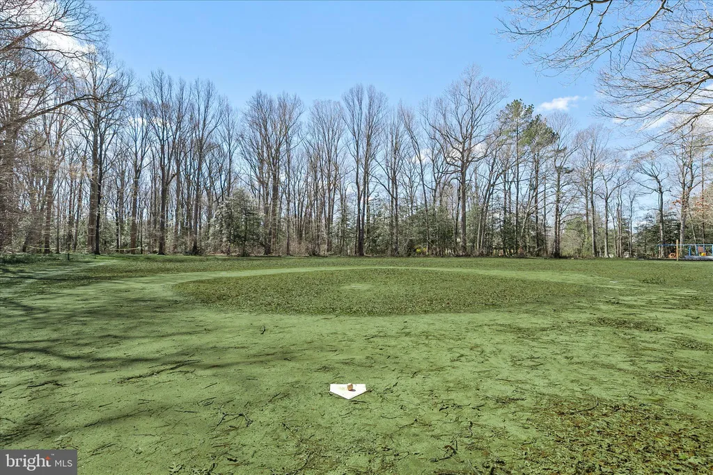 Additional image 44 of 32783 Poplar Drive, Lewes, DE 19958