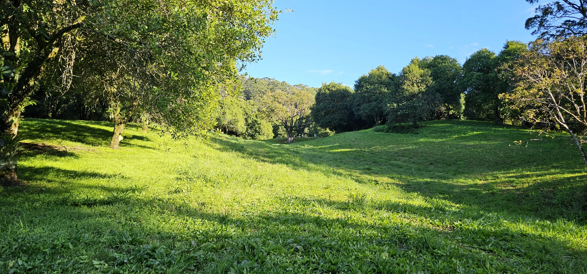 Additional image 8 of 1005 Tuntable Creek Road, Tuntable Creek NSW 2480