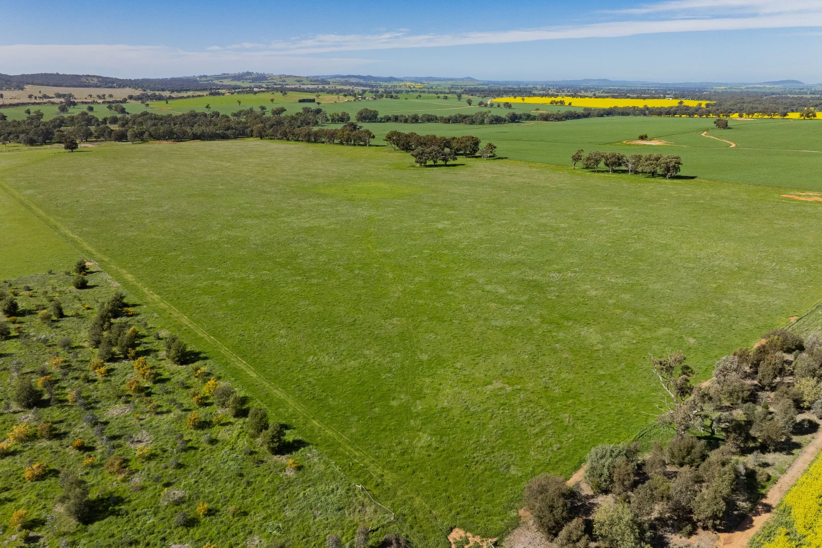 Additional image 68 of 277 Cloughs Road, Yarragundry NSW 2650