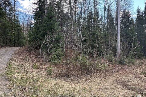 Additional image 8 of 12 Con 22 Cardiff Concession, Highlands East, ON, K0L 3C0