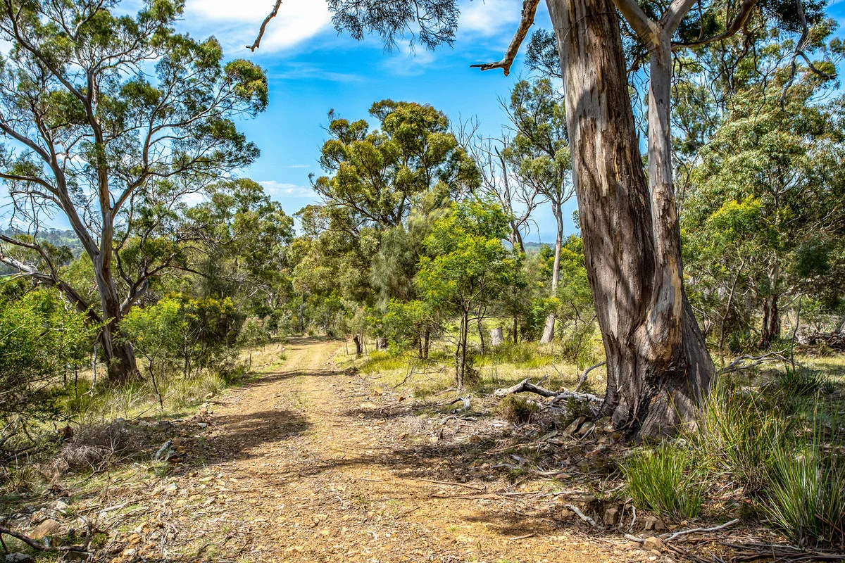 Additional image 24 of 2/10923 Tasman Highway, Little Swanport TAS 7190