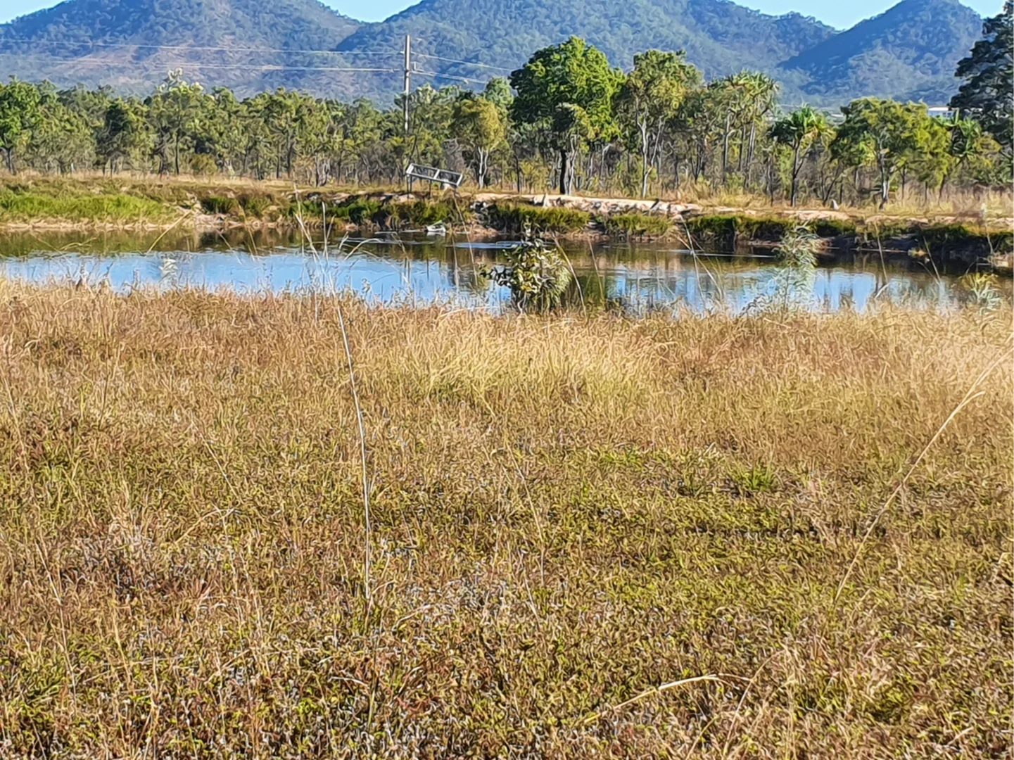 Additional image 7 of 189 Boonmoo Rd, Dimbulah QLD 4872