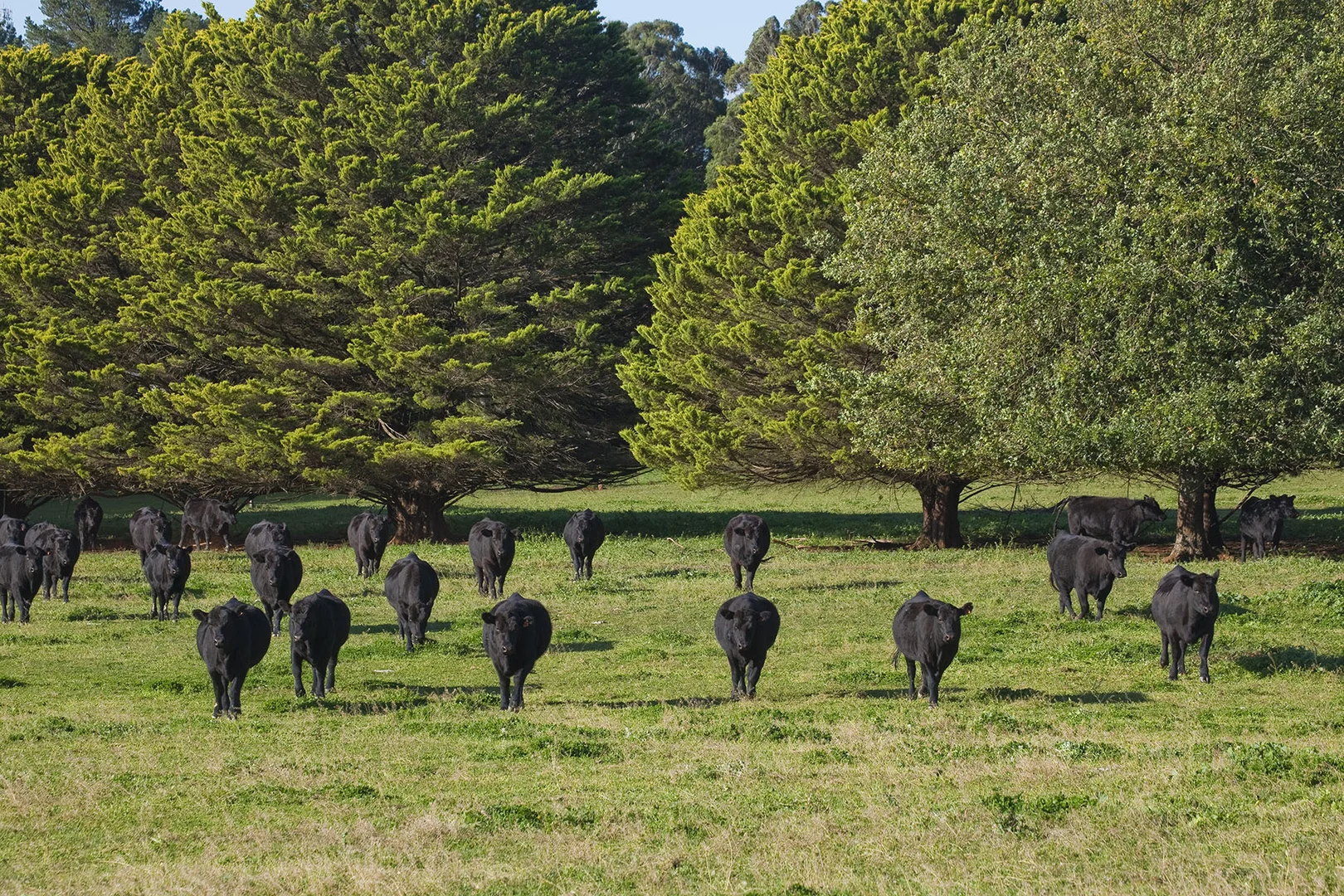 Additional image 5 of 7/2972 Canyonleigh Road, Canyonleigh NSW 2577