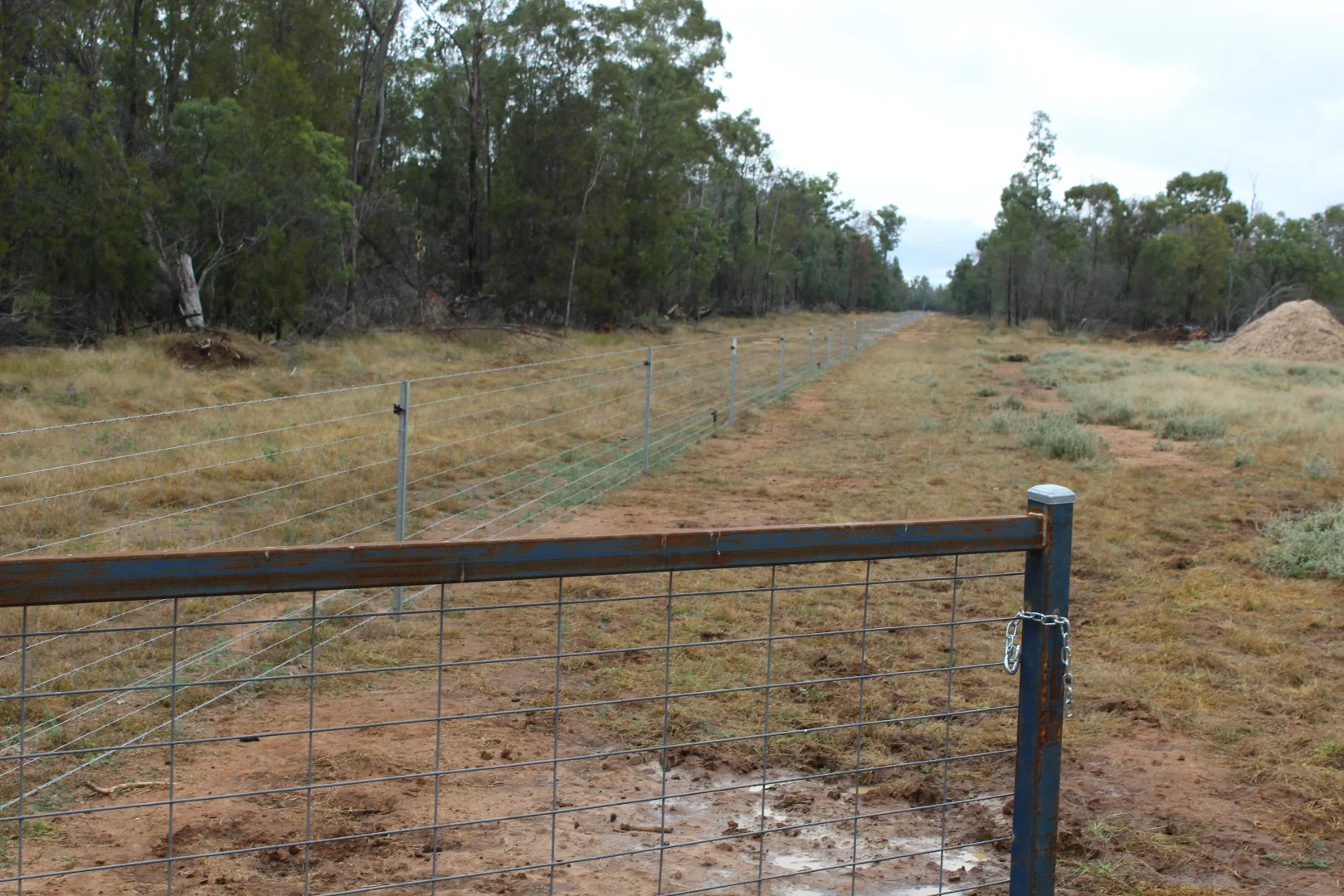 Additional image 15 of 2151 Tenomby Road, Goondiwindi QLD 4390