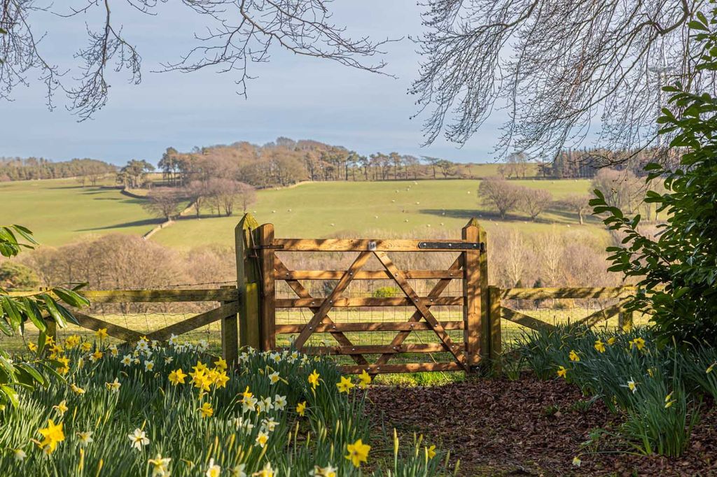 Additional image 37 of 5 bed country house for saleBroomshields Hall, Satley, County Durham DL13