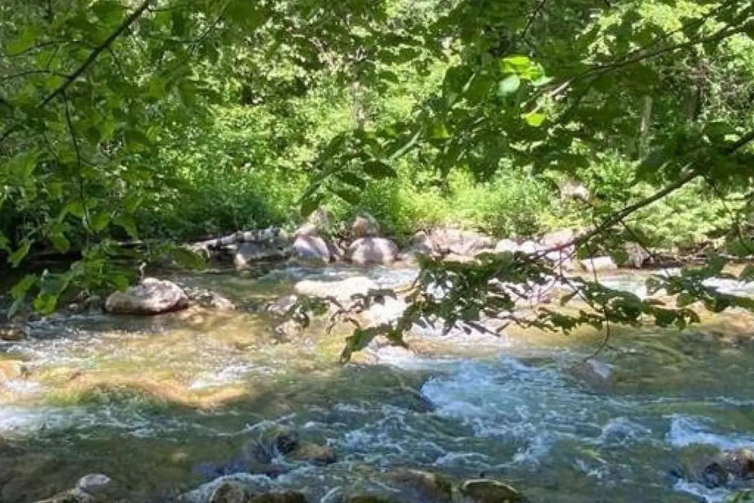 Additional image 2 of 39 Pine River Crescent