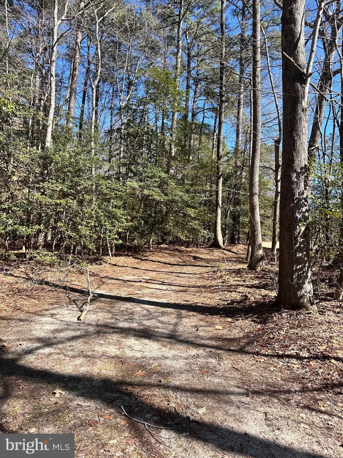 Additional image 38 of 2968 Reynolds Road, Milford, DE 19963