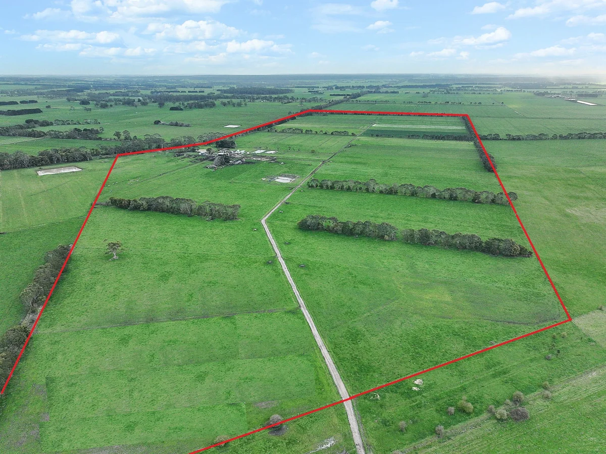 470 Old Irrewillipe Road, Bungador VIC 3260