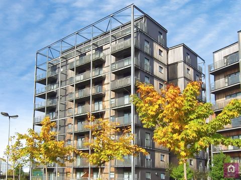 The Cube, Openshaw, Sports City, Manchester City Centre M11