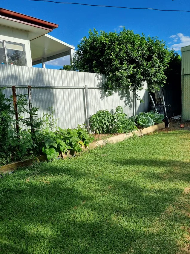 Additional image 13 of 426 Church, Hay NSW 2711