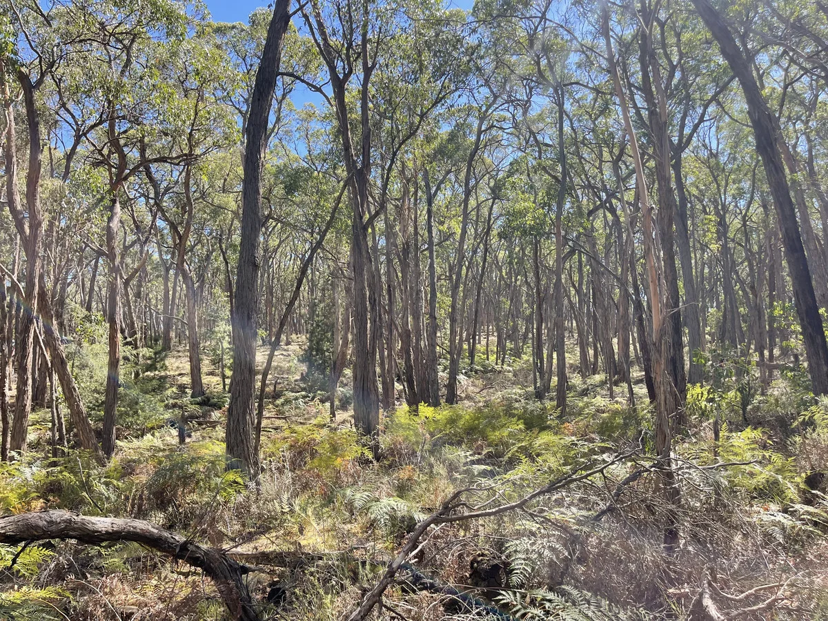 Additional image 14 of 3 Pittong-Snake Valley Road, Snake Valley VIC 3351