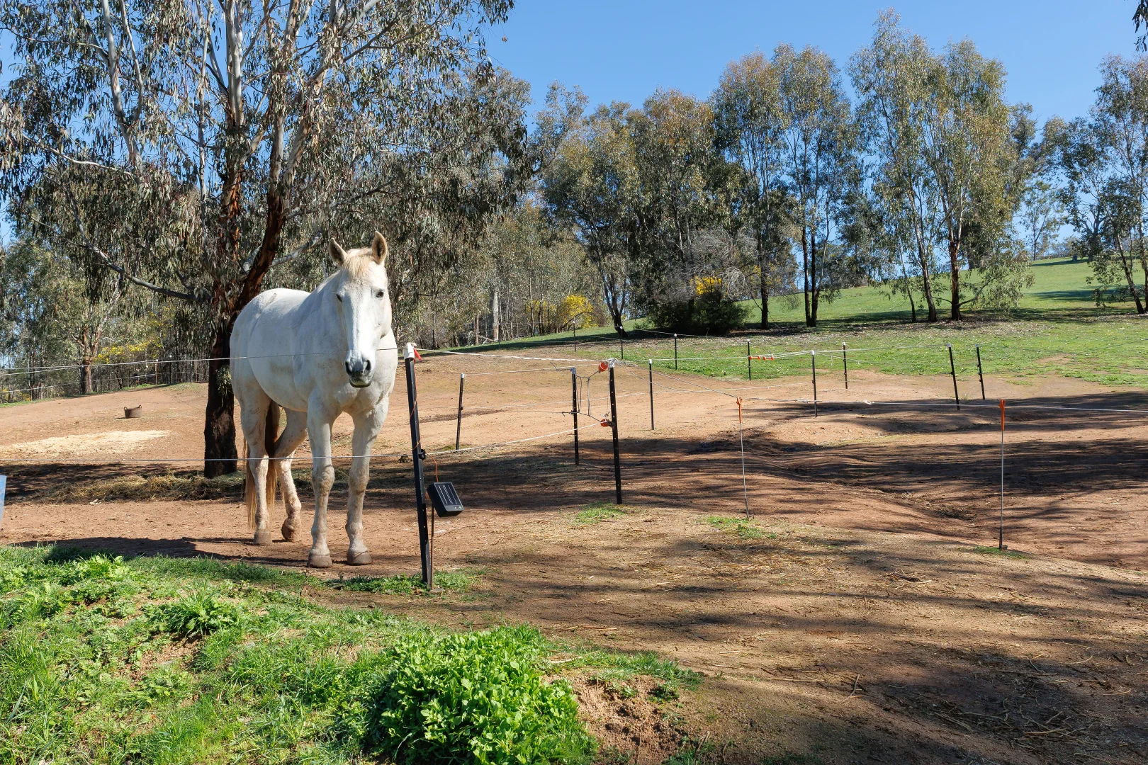 Additional image 16 of 13407 Hume Highway, Woomargama NSW 2644
