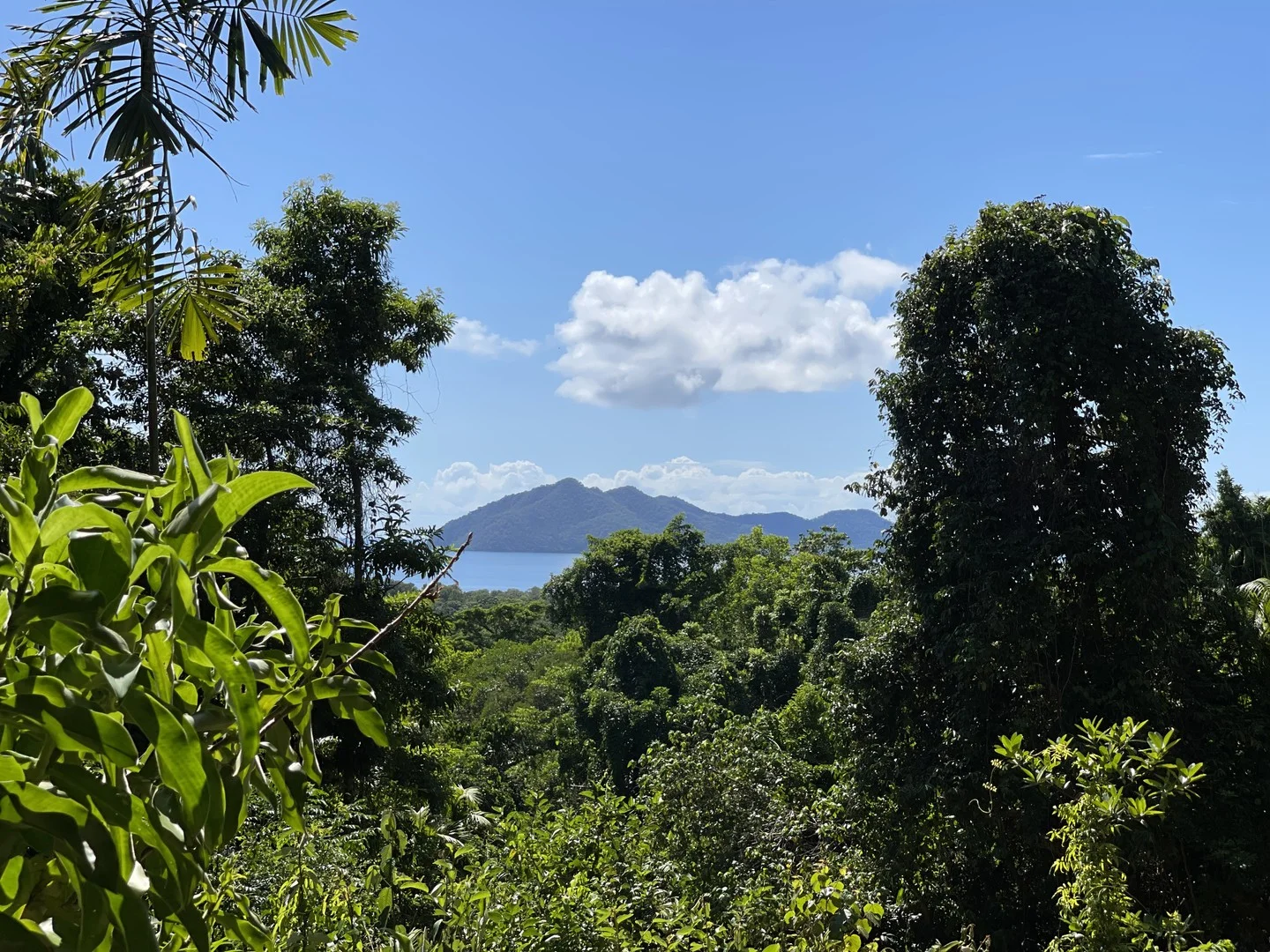 Additional image 2 of 36 Mission Cir, Wongaling Beach QLD 4852