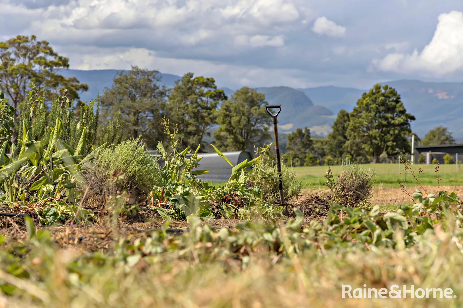 Additional image 42 of 293 Tallowa Dam Road, Kangaroo Valley NSW 2577