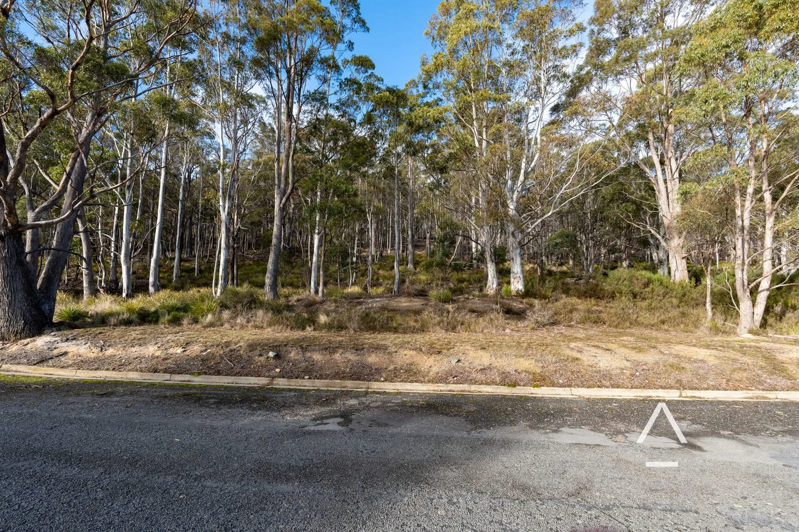 Additional image 5 of 42-46 Lee Street, Rossarden TAS 7213