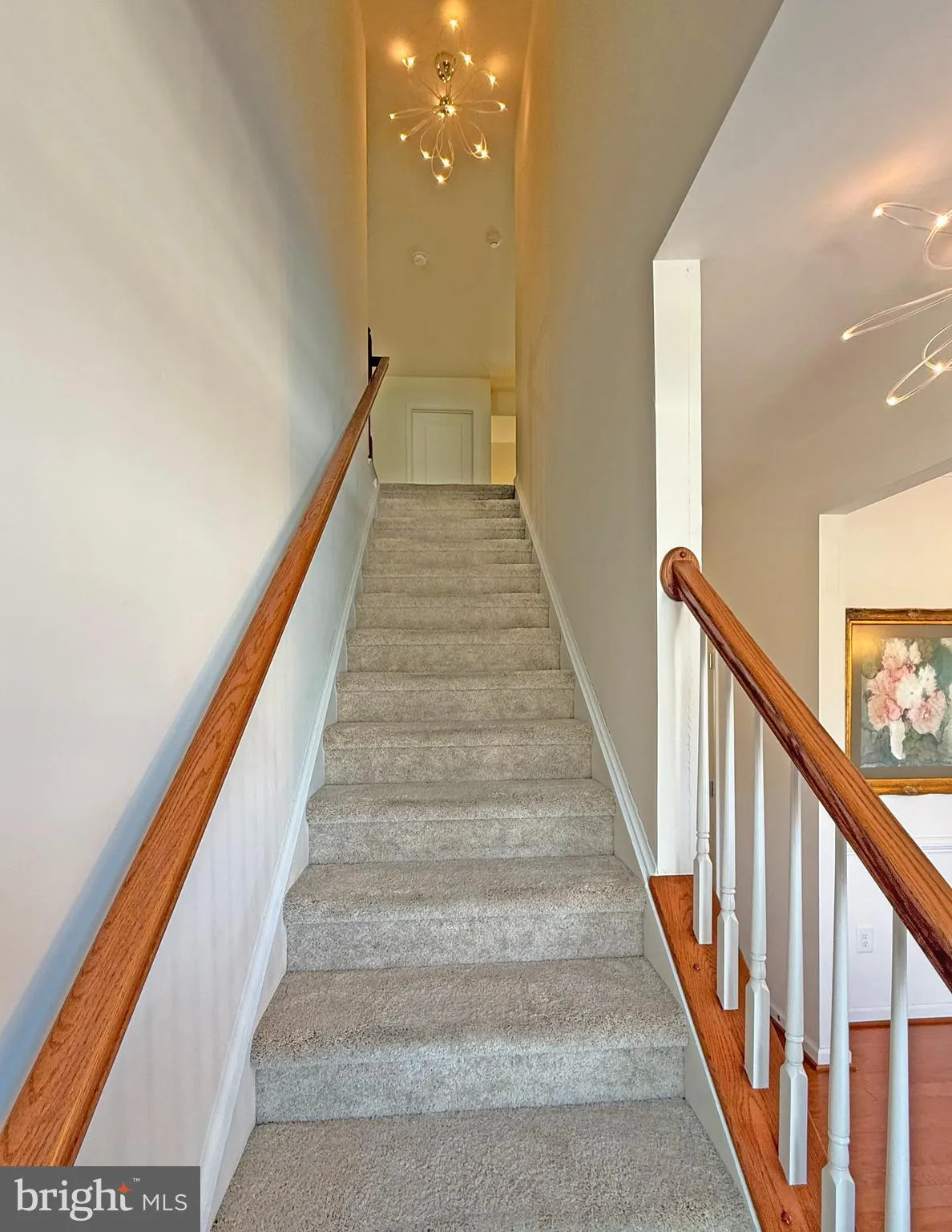 Additional image 53 of 18904 Timbercreek Drive Unit 8, Milton, DE 19968