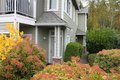 Primary image of 538 241st Ln SE, Sammamish, WA, 98074